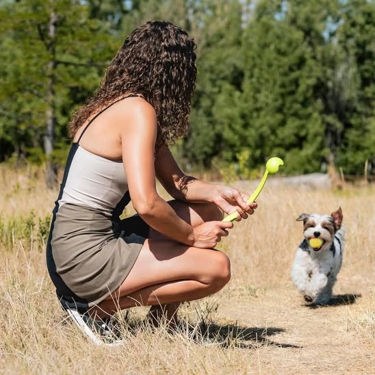 Lanceur de balle pour chien FetchJet jaune petit chien entrainement