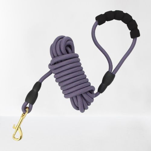 longe-chien-poignee-ergonomique-violette-spacetoutou