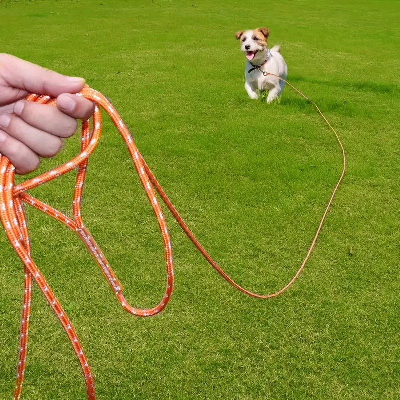 Longe Chiens | LeashConfort™