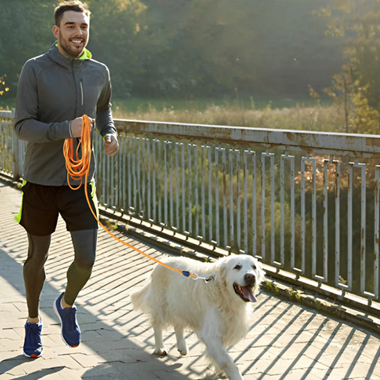 longe-chiens-orange-canicross-leashaventur