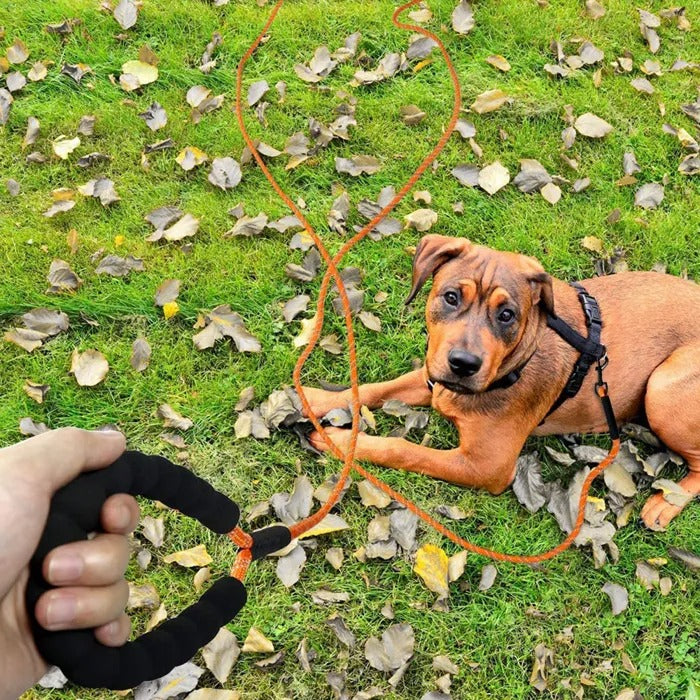 longe-chiens-poignee-moelleuse-confortable-chien-allonge-herbe-leashconfort