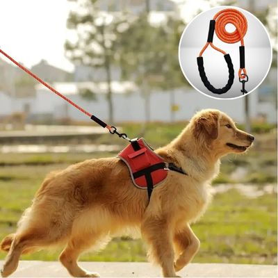 longe-chiens-reflechissante-orange