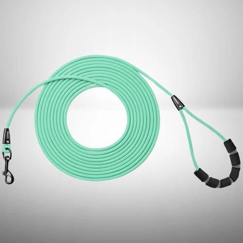 Longe pour chien | PetAventure™