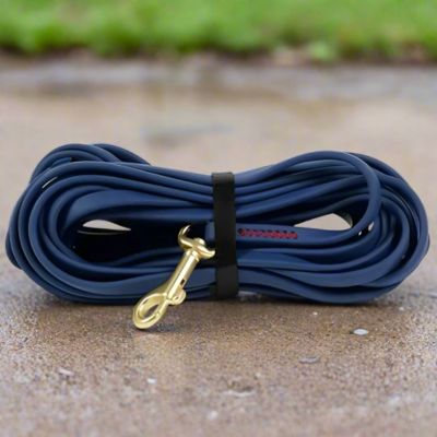 longe-pour-chien-bleue-fonce-longue-bivouakproof