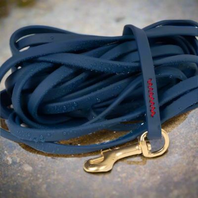 longe-pour-chien-bleue-robuste-impermeable-grande-longueur-bivouakproof