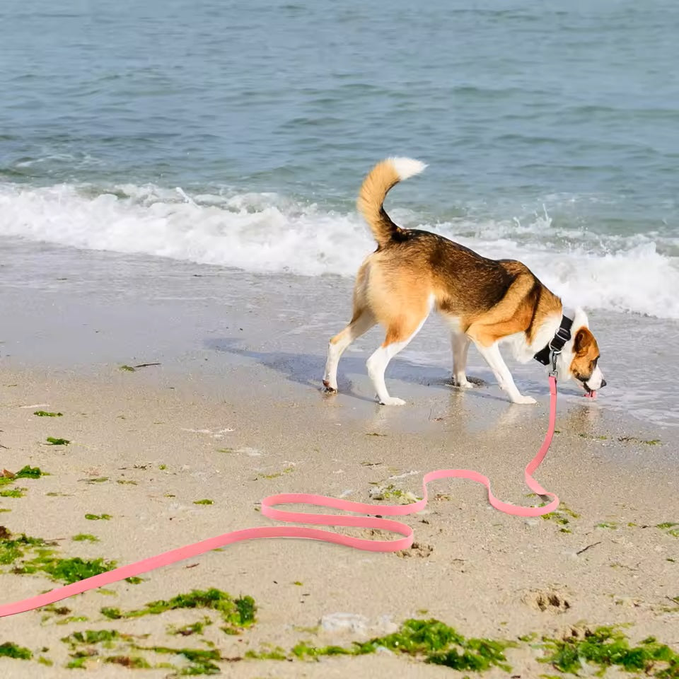 longe-pour-chien-etanche-rose-claire-style-unique-motif-vague-easyrunning