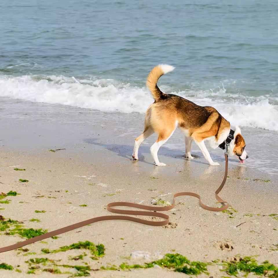 longe-pour-chien-marron-resistante-dressage-exterieur-motif-vague-easyrunning