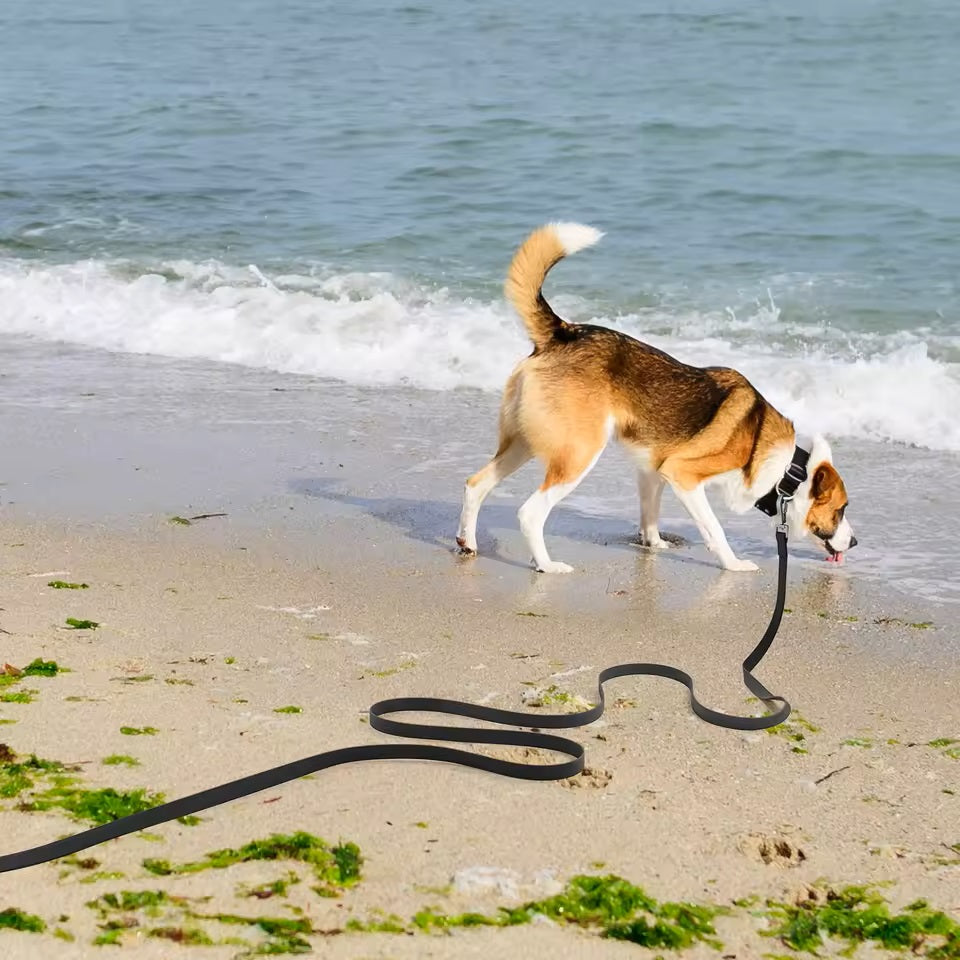 longe-pour-chien-noire-robuste-traction-motif-vague-easyrunning