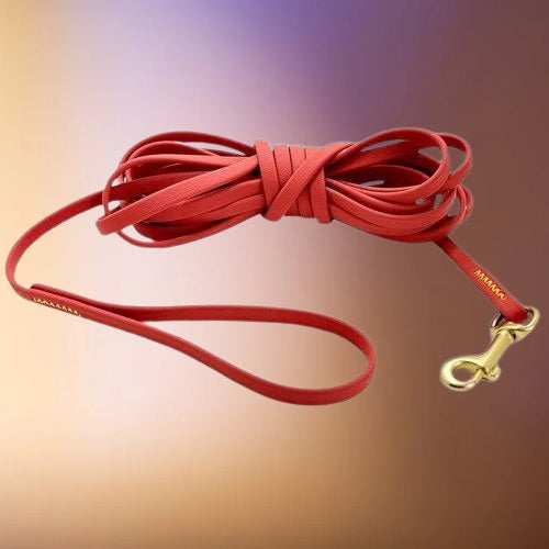 longe-pour-chien-rouge-impermeable-grande-longueur-bivouakproof