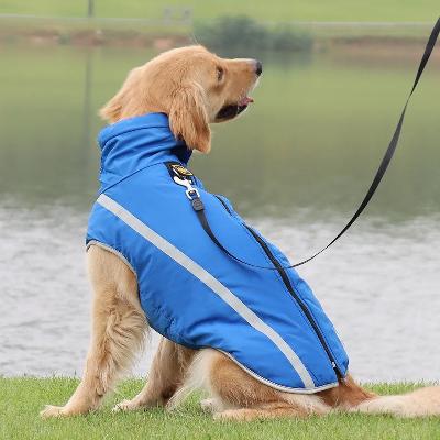 manteau-chien-bleu-couture-reflechissante-pepsywoof