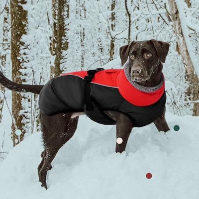 manteau-chien-froid-thermique-confort-extrem-eldora