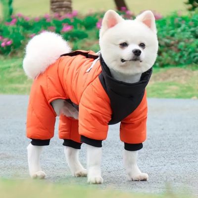 manteau-chien-rouge-chaud-polaire-lilydoudoun