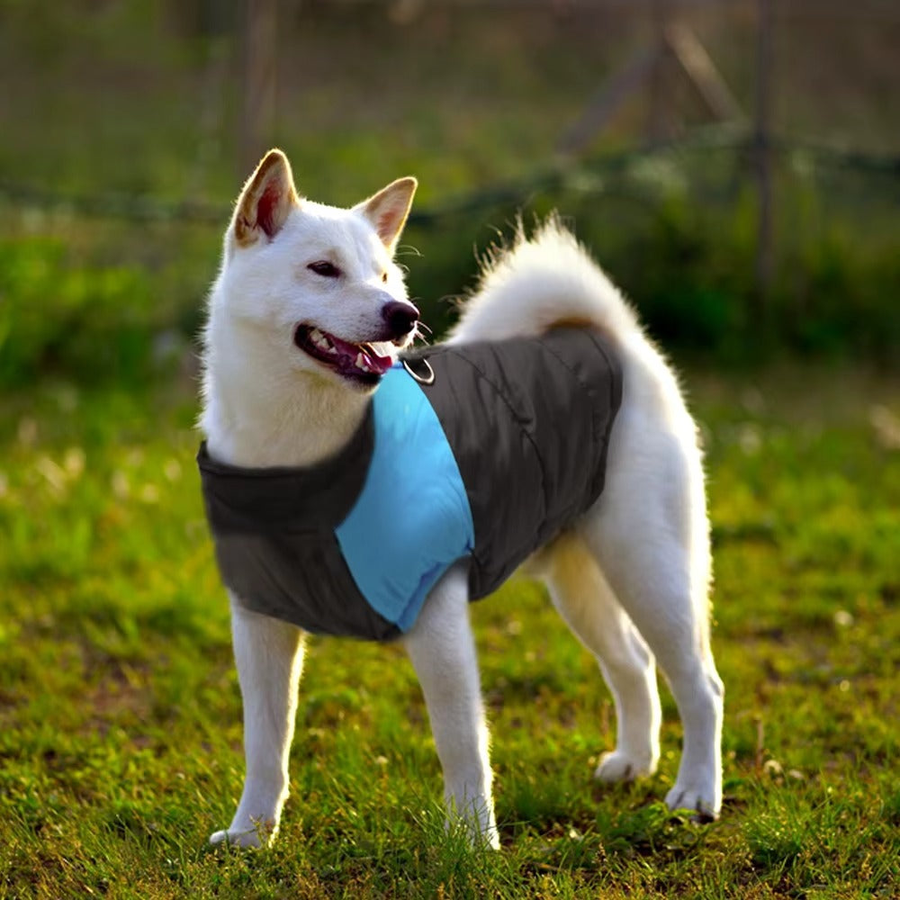 manteau-pour-chien-bleu-deperlant-chaud-rainkool