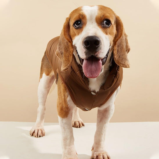 manteau-pour-chien-epais-marron-fermeture-facile-cosytail