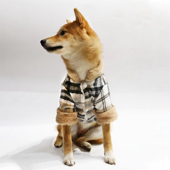 manteau-pour-chien-hiver-style-anglais-toutouchic