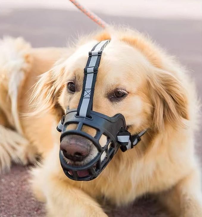 museliere-chien-coupe-ergonomique