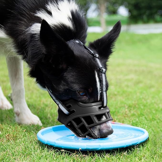 museliere-chien-haleter-boire