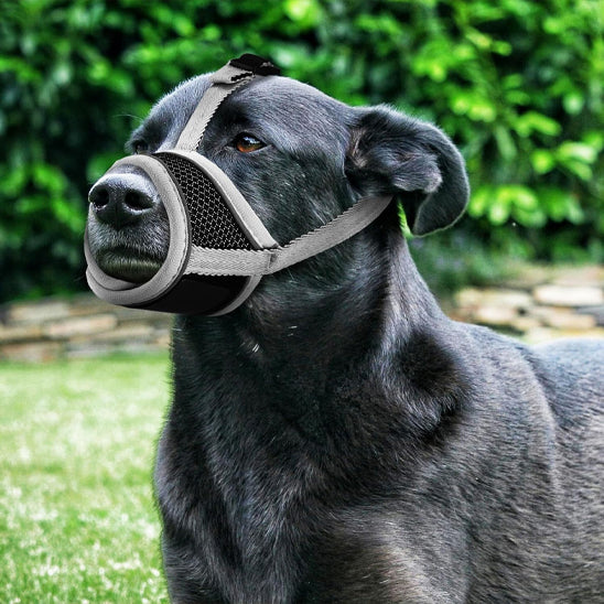 museliere-chien-maille-respirante