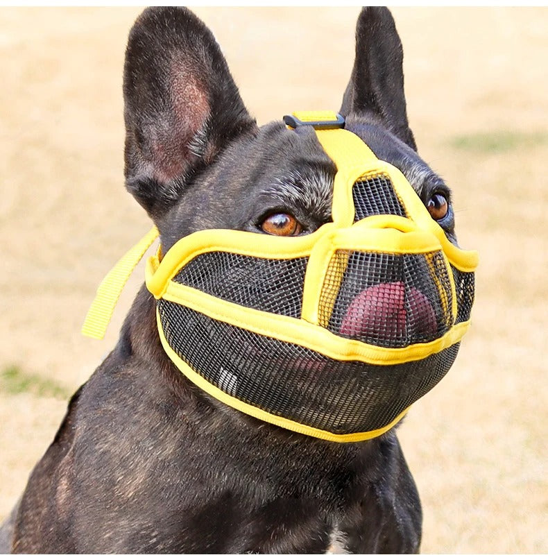 Museliere | SafeMuzzle™