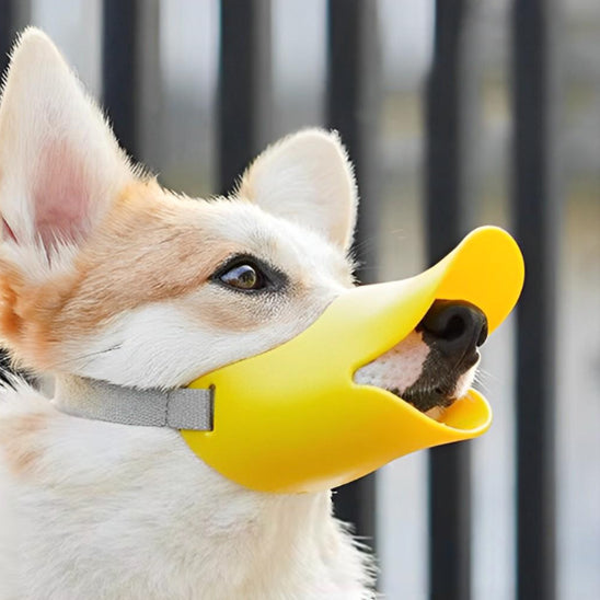 museliere-petit-chien-silicone-jaune
