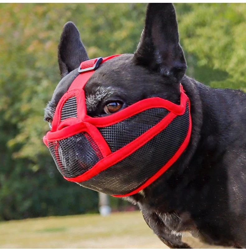museliere-rouge-securite-safemuzzle