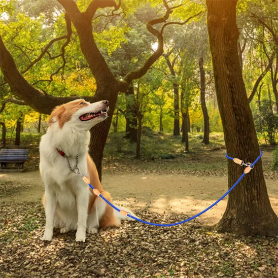 Double laisse Chien | PolyvalPetsâą