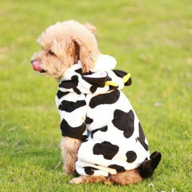 pull-chien-protege-froid-promenade-motif-vache-anipet
