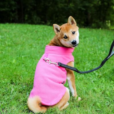 pull-chien-rose-confort-thermique-puppyheat