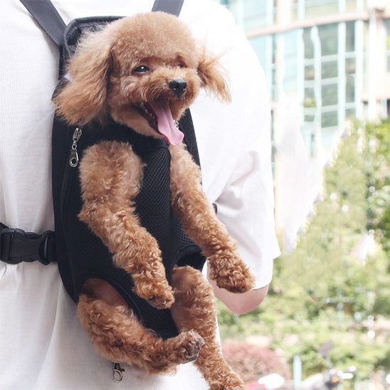 sac-a-dos-chien-noir-caniche-heureux-pataventure1