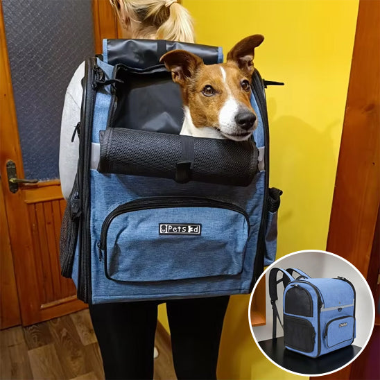 sac-a-dos-pour-chien-design
