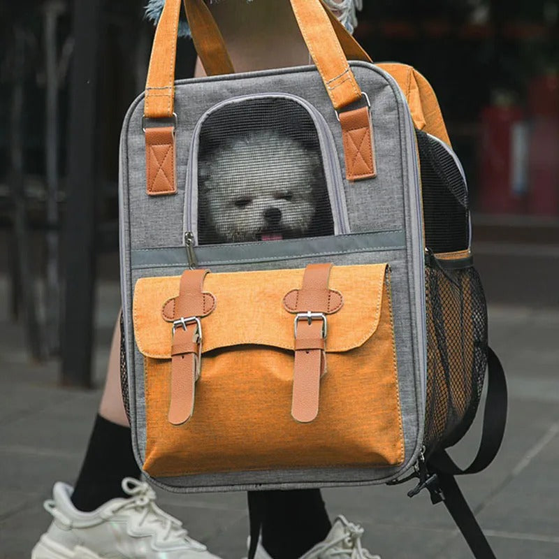 sac-a-dos-pour-chien-pliable