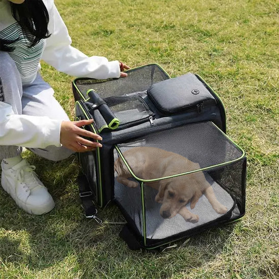 sac-de-transport-pour-chien-extensible