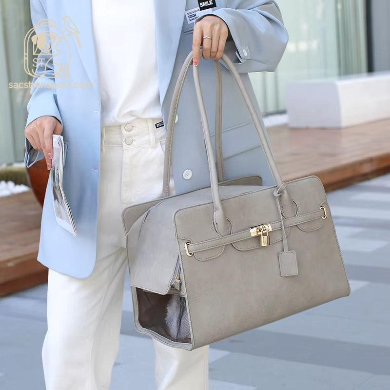 sac_transport_chien_gris_voyage_de_lux