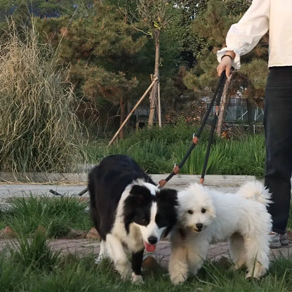 Double laisse Chien | PolyvalPets™