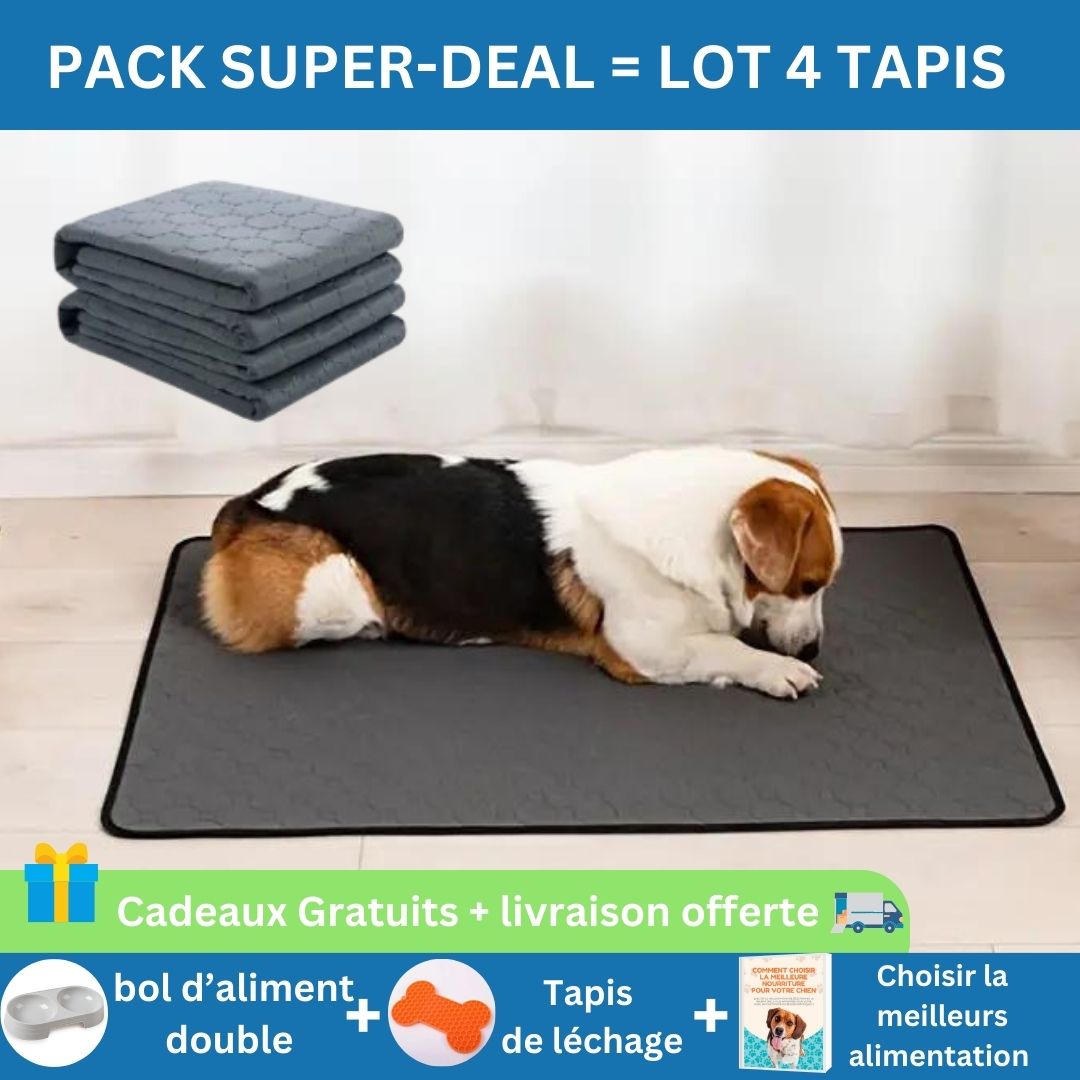 Tapis de propreté lavable pour chien | Pet-clean™