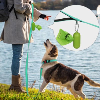 Laisse Chien | CaniKool™