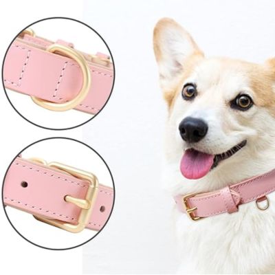 Collier cuir chien | Cuir & Crocs