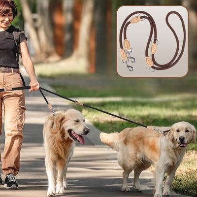 Double-laisse-chien-labrador-marron