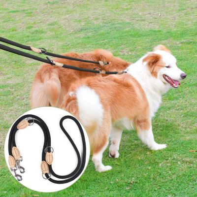 Double-laisse-chien-noire