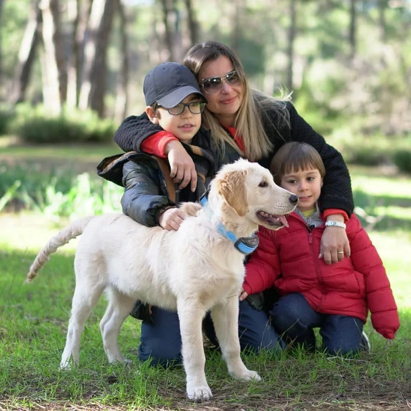 Collier anti aboiement chien | CalmiPet™