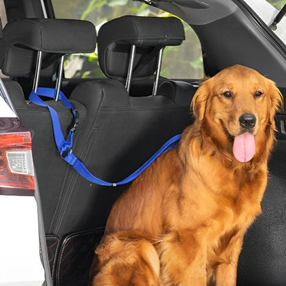 attache ceinture de sécurité pour chien bleue FidelAttache golden retriever voiture