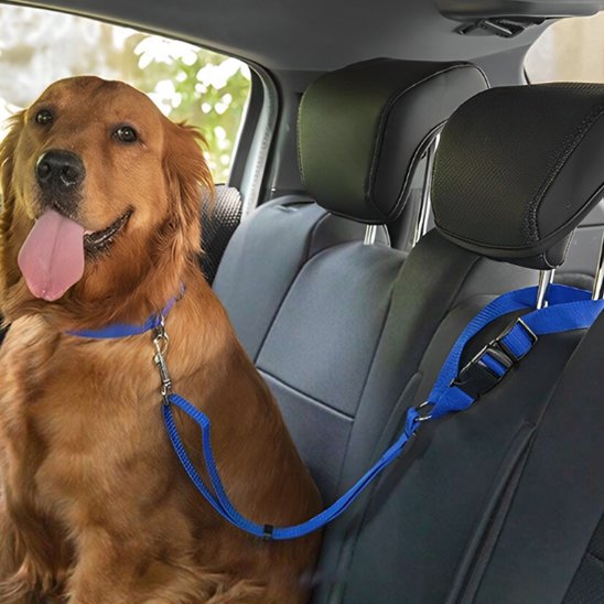 attache ceinture de sécurité pour chien FidelAttache bleu fixation rapide
