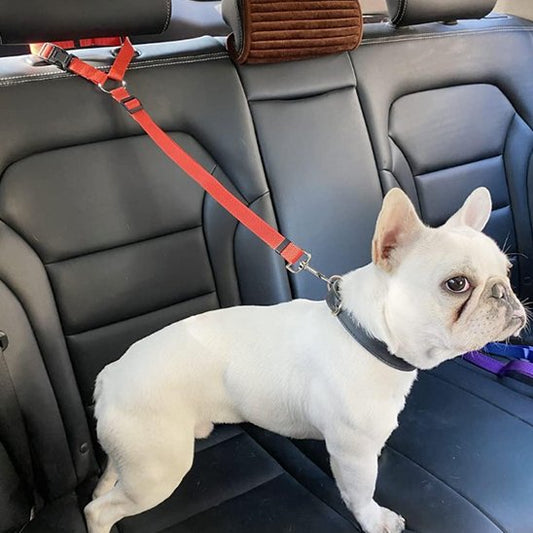attache ceinture de sécurité pour chien FidelAttache rouge universelle