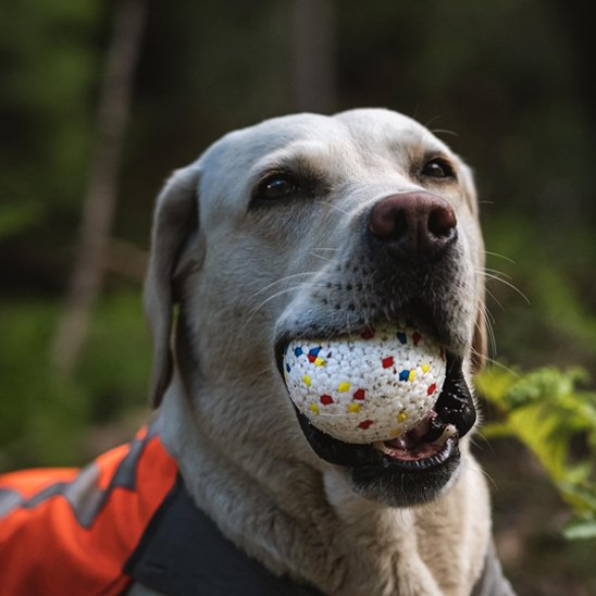 Balle chien BarkPop antidérapante 