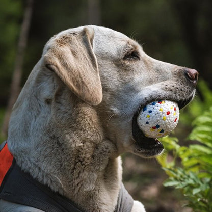 Balle chien BarkPop jeux extérieur 