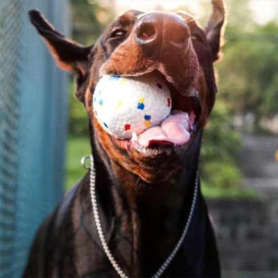 Balle chien BarkPop résistante jeux