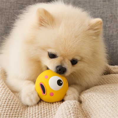 Balle Chien Indestructible jaune spitz jeu intérieur