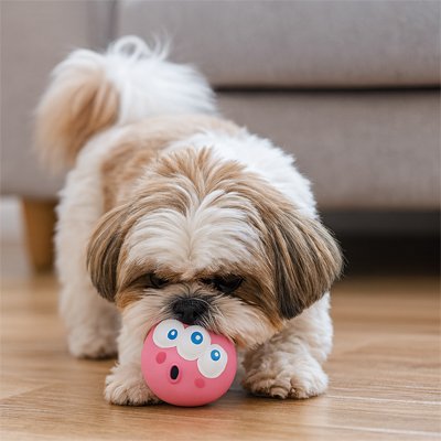 Balle Chien Indestructible rose jeu intérieur