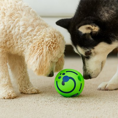 Balle pour Chien BarkyBoom verte caniche