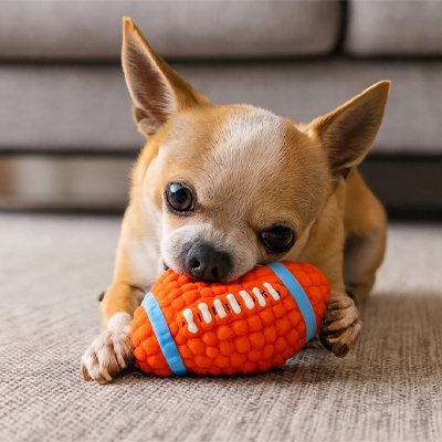 Balle pour Chien DogRush chiwawa qui joue